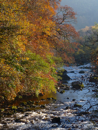 River Conwy near The Fairy Glen