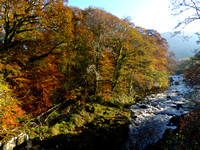 River Conwy near The Fairy Glen