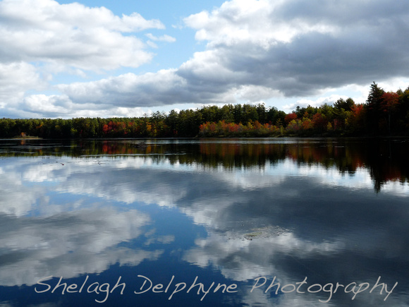 A Fall Morning in Maine 4
