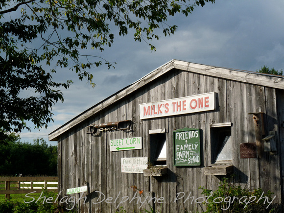 The Cow shed