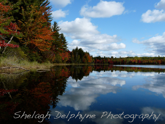 A Fall Morning in Maine 6