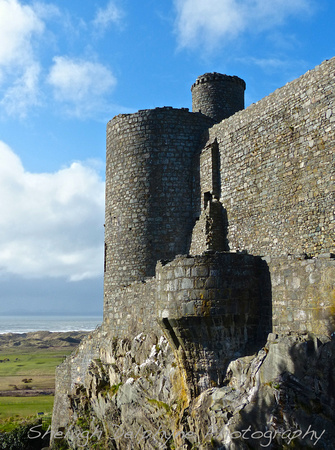 Harlech and area