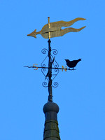 The Crow and the Church