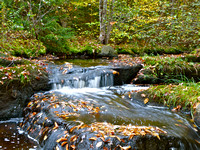 Fall Hike at Mystical Falls