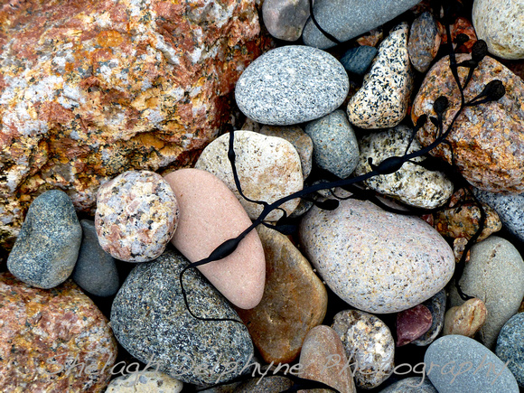 Study in Beach Stones