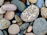 Study in Beach Stones