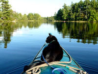 Kayaking with Solomon