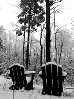 Early Snow in Black and White
