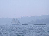 Schooner Appledore entering Camden Harbor