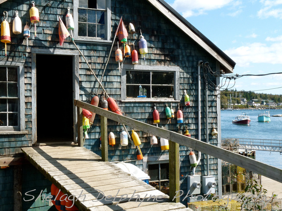 Bass Harbor, Maine