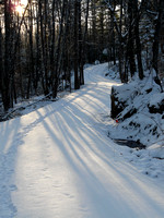 Magic Road in Winter