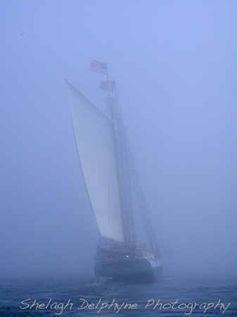 Schooner in the Fog 2