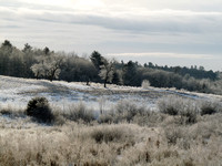 Frost in the Valley