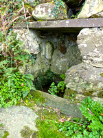 Ancient Well