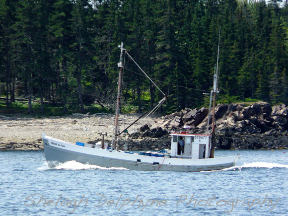 Shelagh Delphyne Photography | Photographs of Maine Coastal Towns ...